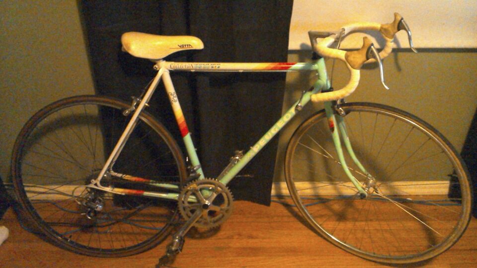 How-to-Buy-and-Sell-a-Bike - Bad-Listing
