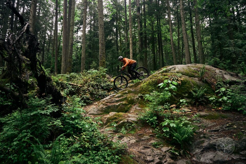 A mountain bike riding downhill in a forest