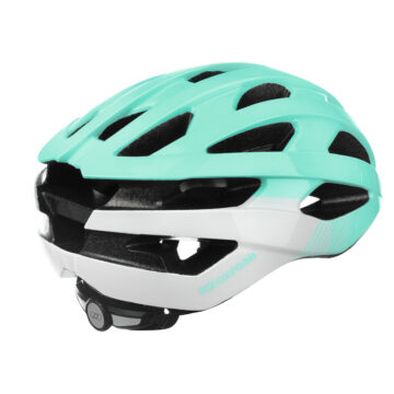 Raven Helmet