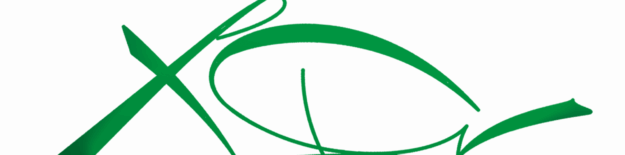 Resurrection Bikes (Harrogate)