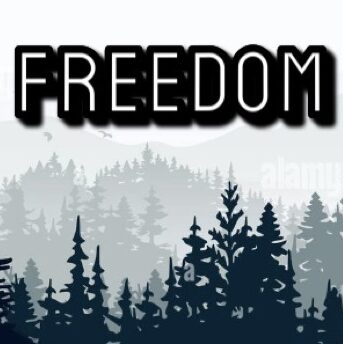Freedomcycles2022
