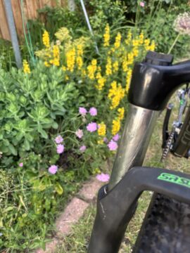 Carrera Hellcat 29" wheels 20" frame for sale in Hertsmere by HEP Bikes on SHIFTA marketplace. Top quality second-hand bikes online.