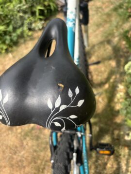Apollo Twilight 26” wheels has been serviced for sale in Hertsmere by HEP Bikes on SHIFTA marketplace. Top quality second-hand bikes online.