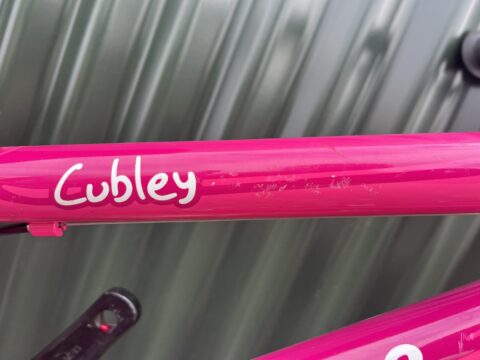 Forme Cubley 14" Kids Bike - Pink – GRADE C for sale in Yorkshire and The Humber by Club Bikes on SHIFTA marketplace. Top quality second-hand bikes online.