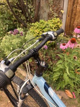 Trek Skye for sale in Hertsmere by HEP Bikes on SHIFTA marketplace. Top quality second-hand bikes online.