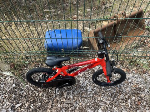 Forme Cubley 14" Kids Bike - Red – GRADE B for sale in Yorkshire and The Humber by Club Bikes on SHIFTA marketplace. Top quality second-hand bikes online.