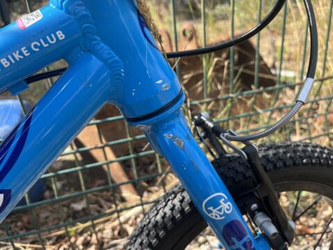 Forme Cubley 14" Kids Bike - Blue – GRADE B for sale in Yorkshire and The Humber by Club Bikes on SHIFTA marketplace. Top quality second-hand bikes online.