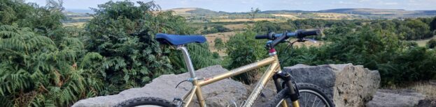 Bigbeets1